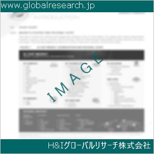グローバルリサーチ調査資料のイメージ